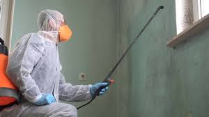 Best Mold Remediation for Healthcare Facilities  in Pico Rivera, CA